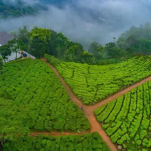 tea-harvester.kerala-hotels.net/